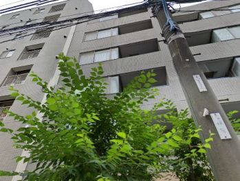 早稲田鶴巻町パーク・ホームズ