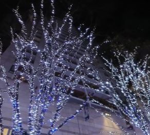 六本木ヒルズレジデンスＤ棟