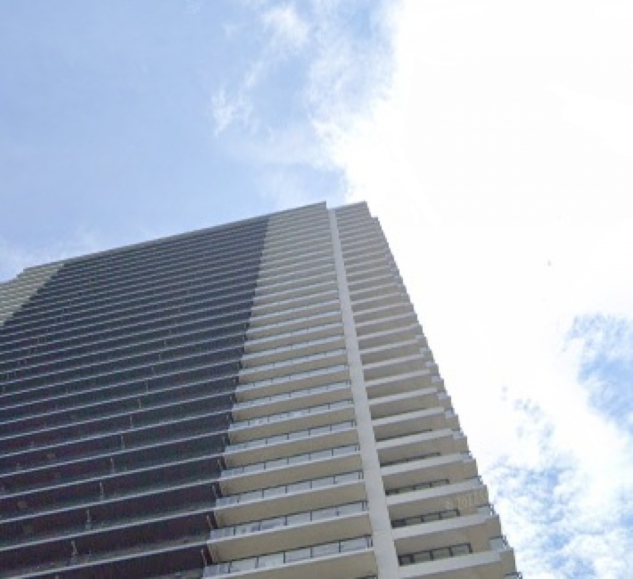 シティタワー金町　タワー棟