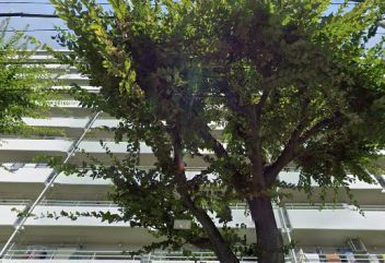 パークハイツ多摩川