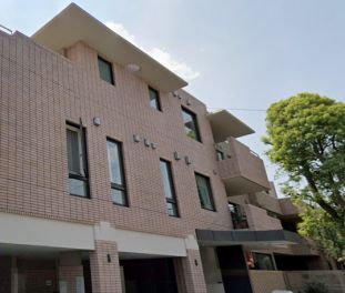ＶＯＴＡＮＩＡ　ＭＥＧＵＲＯ