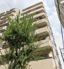 ライオンズマンション三軒茶屋第３