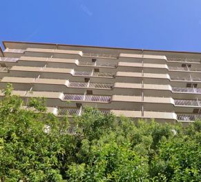 多摩川ハイム３号棟