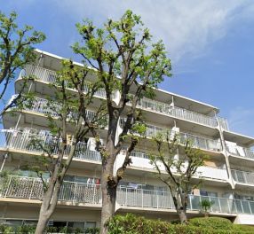 南六郷ビューハイツ