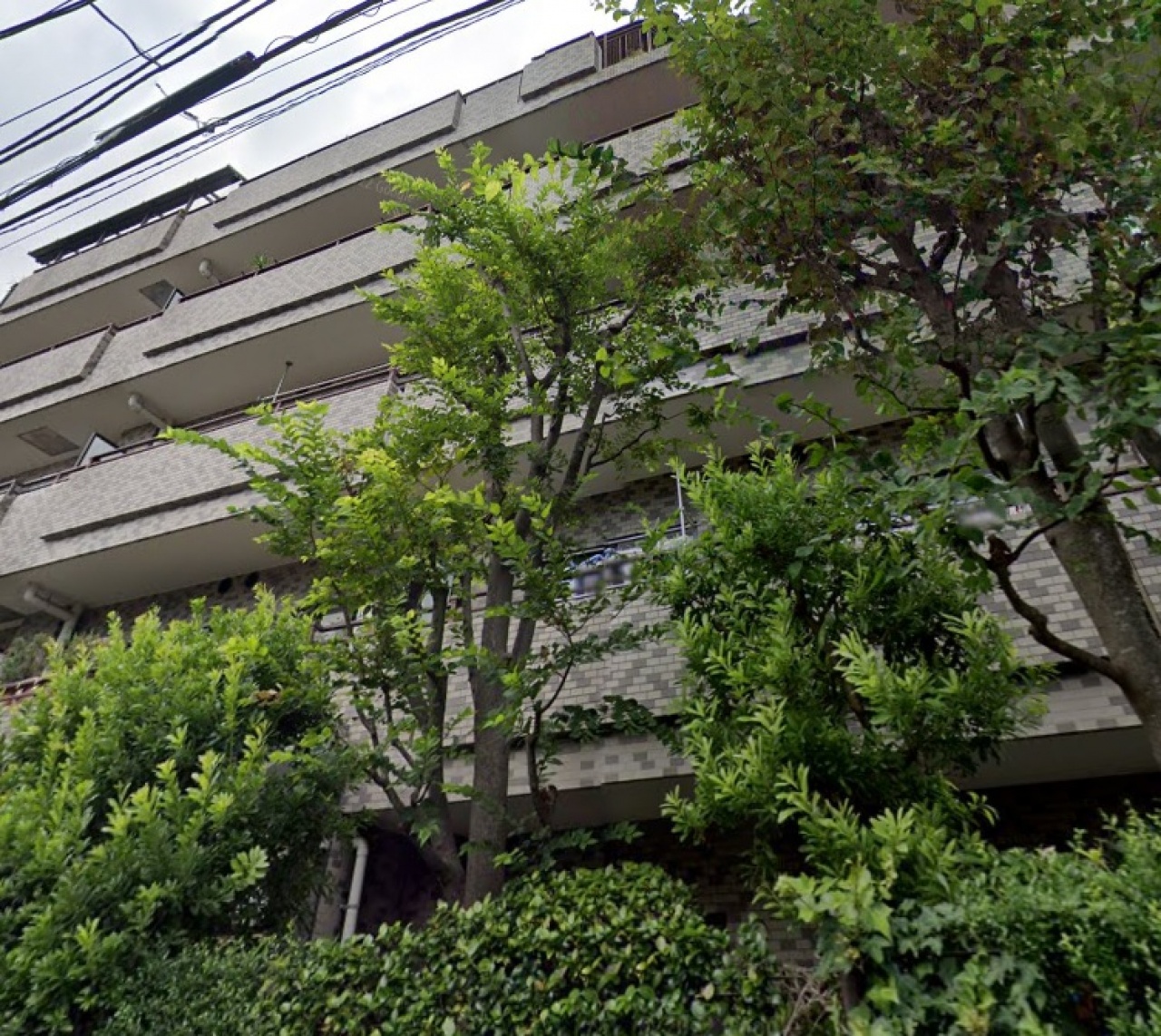 パルミナード尾山台壱番館