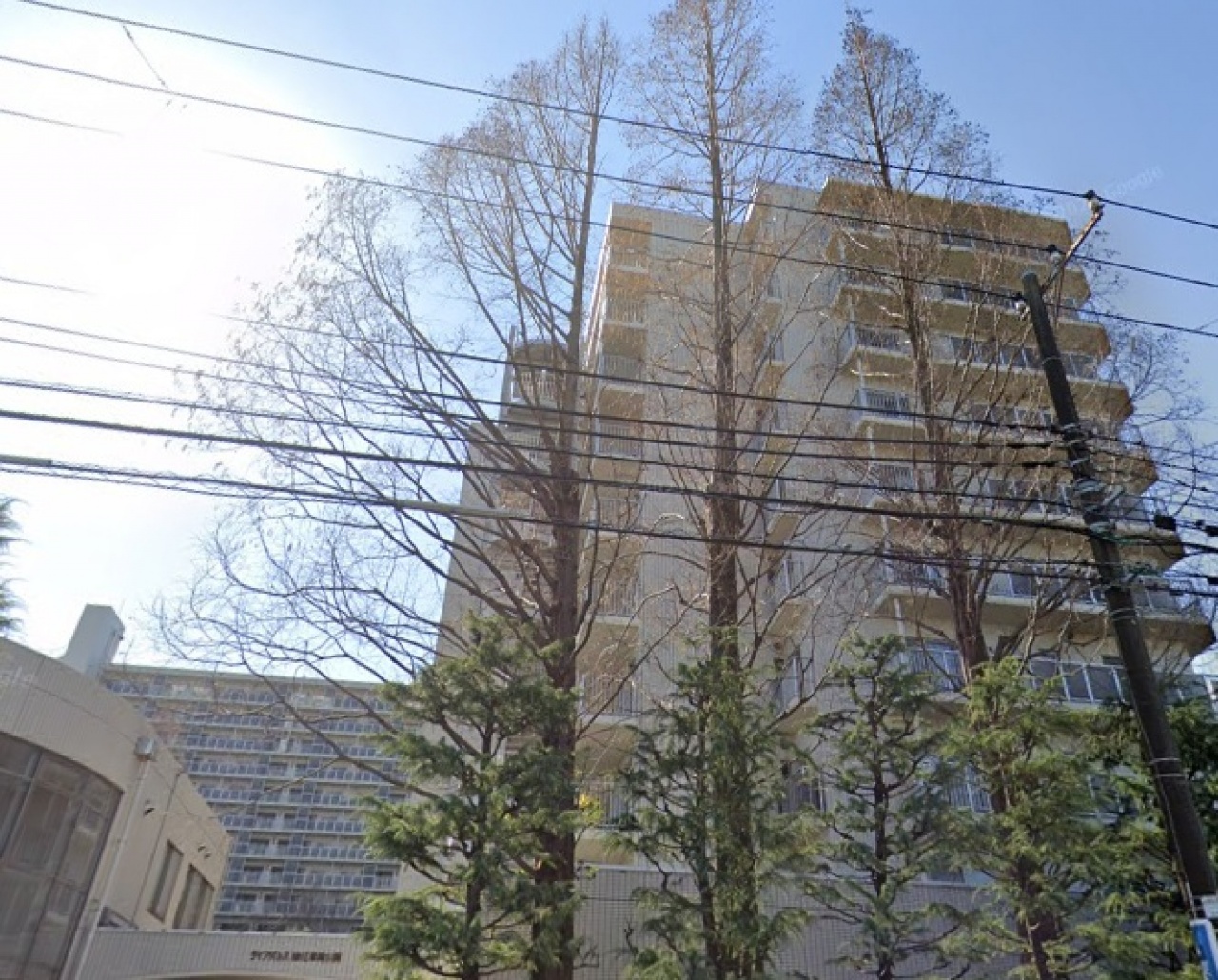 ダイアパレス猿江恩賜公園