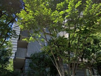 パークハウス多摩川南１番館
