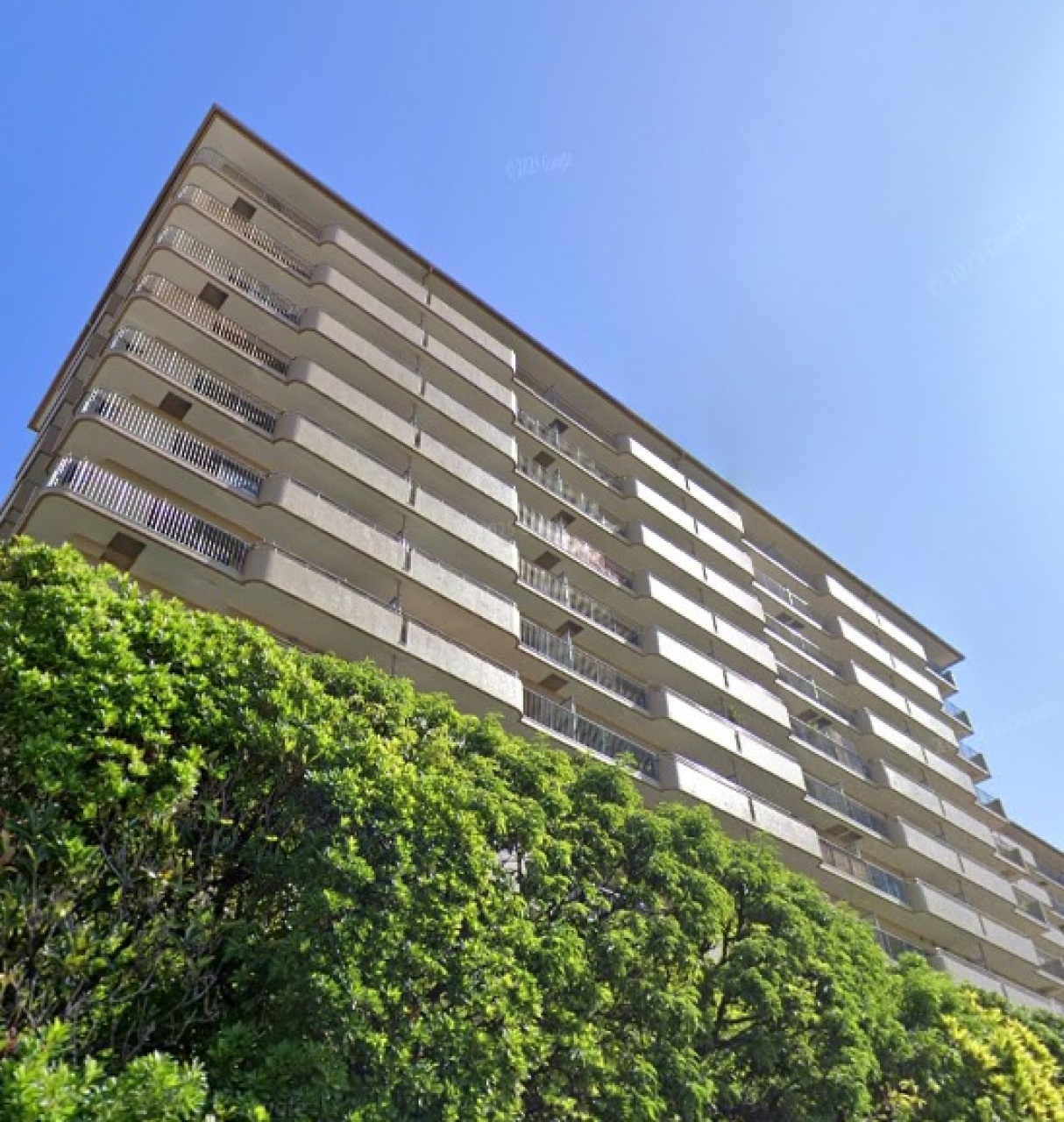 多摩川ハイム２号棟