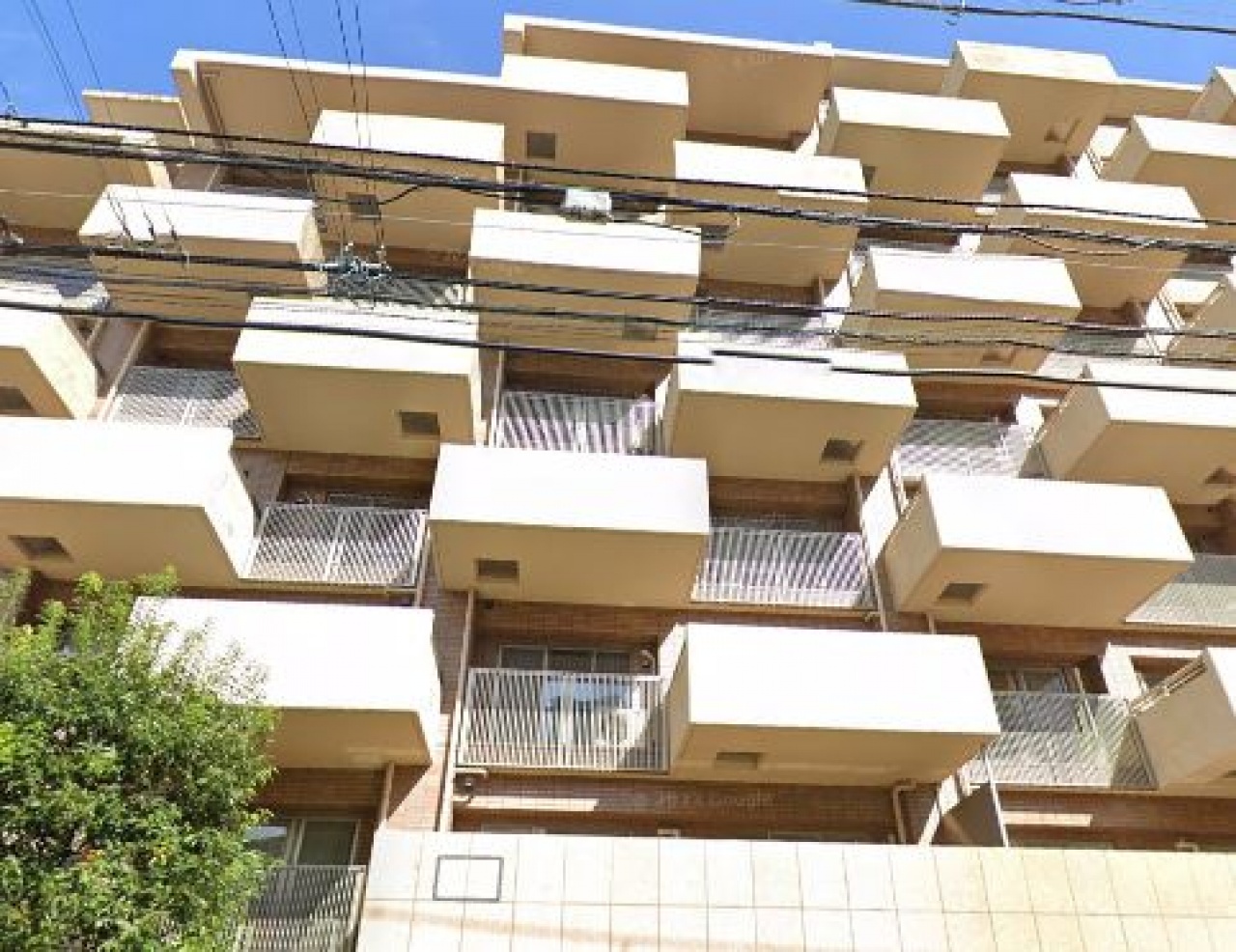 アデニウム武蔵小山