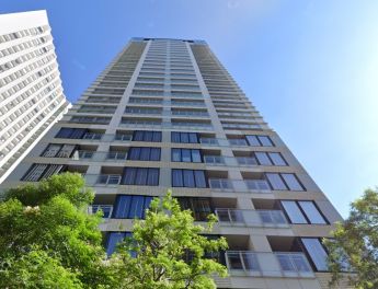 ＳＡＩＯＮ　ＳＡＫＵＲＡＺＡＫＡ