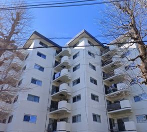 武蔵野グリーンタウンＣ棟