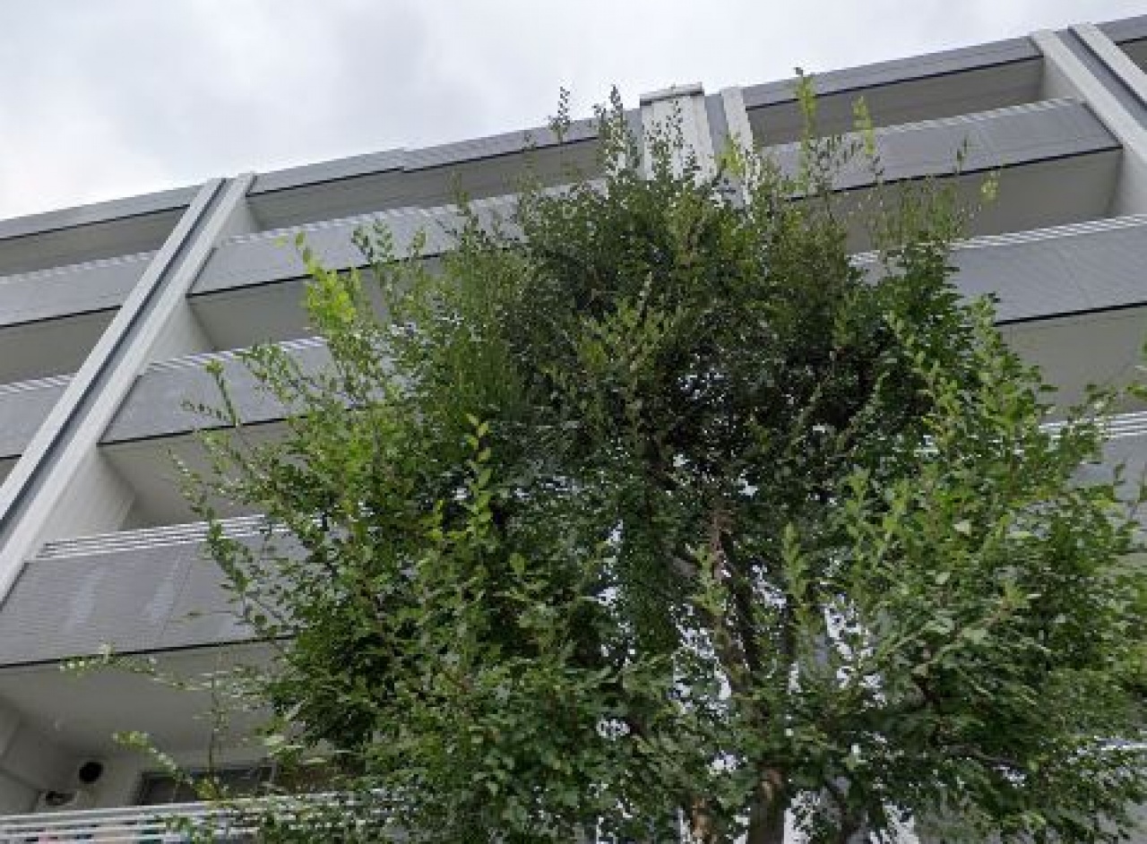 クレッセント新川崎エグゼ