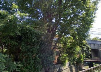 ディアナコート二子玉川翠景