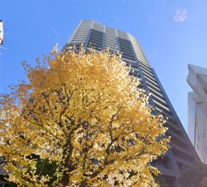 ファーストリアルタワー新宿