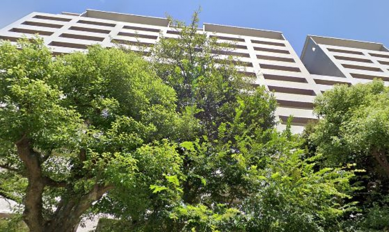 ヒルズ久が原壱番館