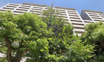 ヒルズ久が原壱番館