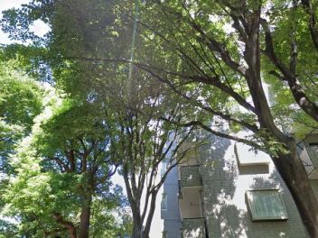 パークハウス多摩川南四番館