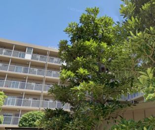 恒陽綾瀬マンション