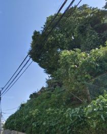 ラフィスタ多摩川