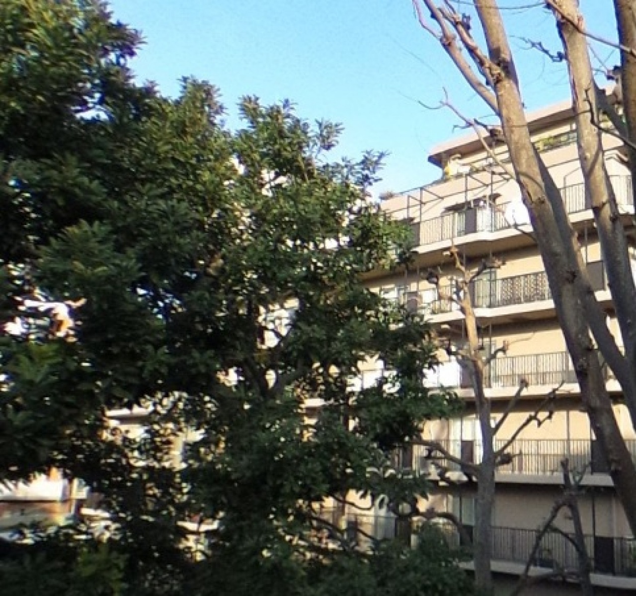 エクセルハイツ大井仙台坂