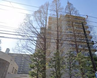 ダイアパレス猿江恩賜公園