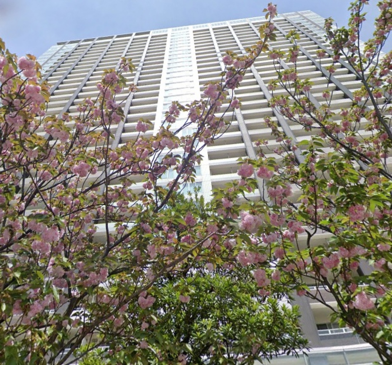 Ｂｒｉｌｌｉａ　Ｍａｒｅ有明ＴＯＷＥＲ＆ＧＡＲＤＥＮ