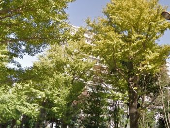 パークサイド光が丘