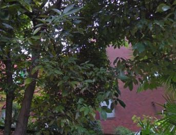 トーア久が原ガーデン