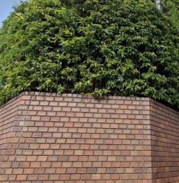 マンション雪谷テラス