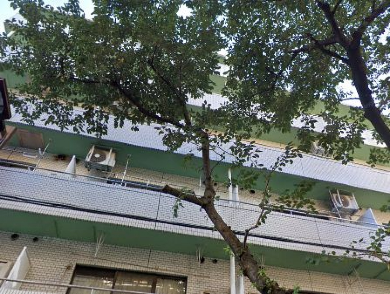 タク・シティハイツ西小山