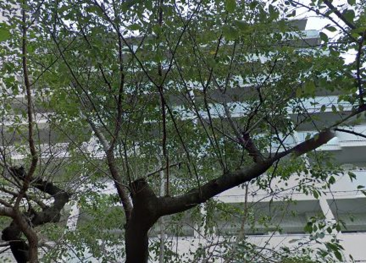 エクセレントシティ白金高輪