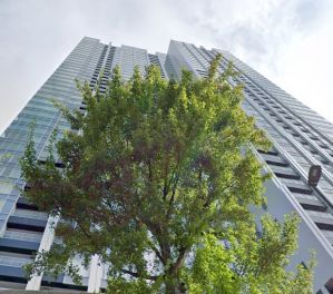 ワールドシティタワーズ　キャピタルタワー