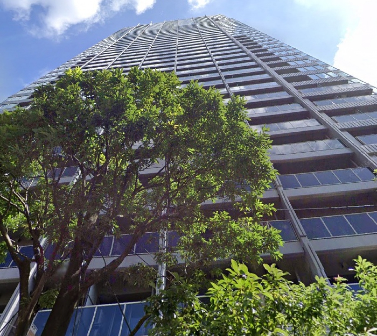 ＴＨＥ　ＲＯＰＰＯＮＧＩ　ＴＯＫＹＯ