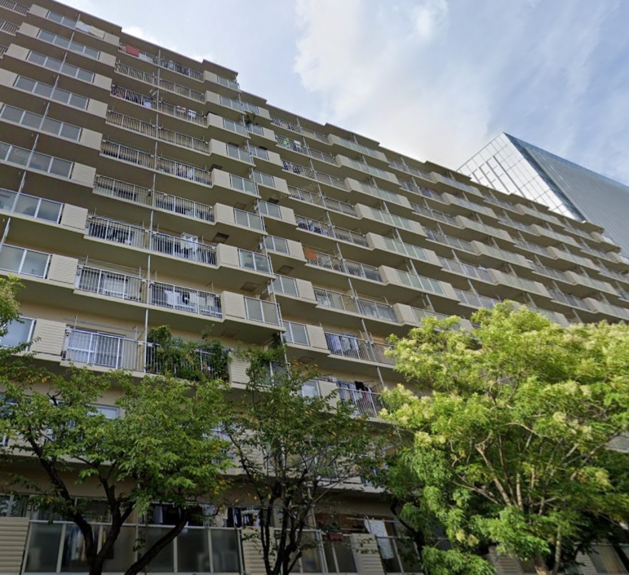 ソフトタウン晴海