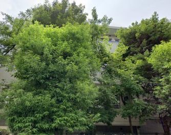 パークシティ成城　Ｄコート