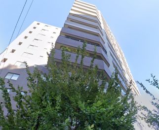 ダイアパレスシェルトワレ目黒