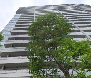 パークホームズ豊洲ザ・レジデンス