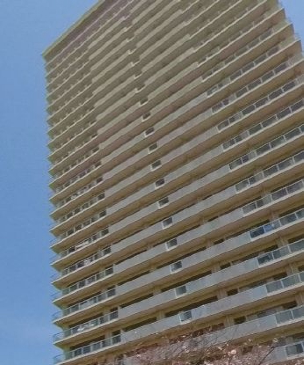 ザ・リバープレイス　ウエストタワー