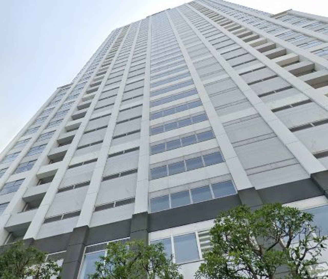 東京シーサウスブランフォーレ