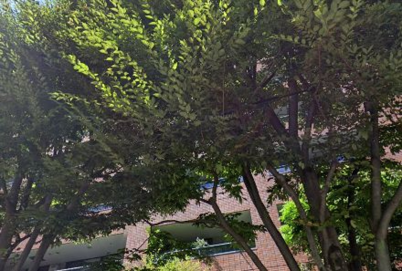 ラ・コルダ弦巻　ガーデンコート