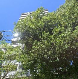 東京ミッドベイ勝どき