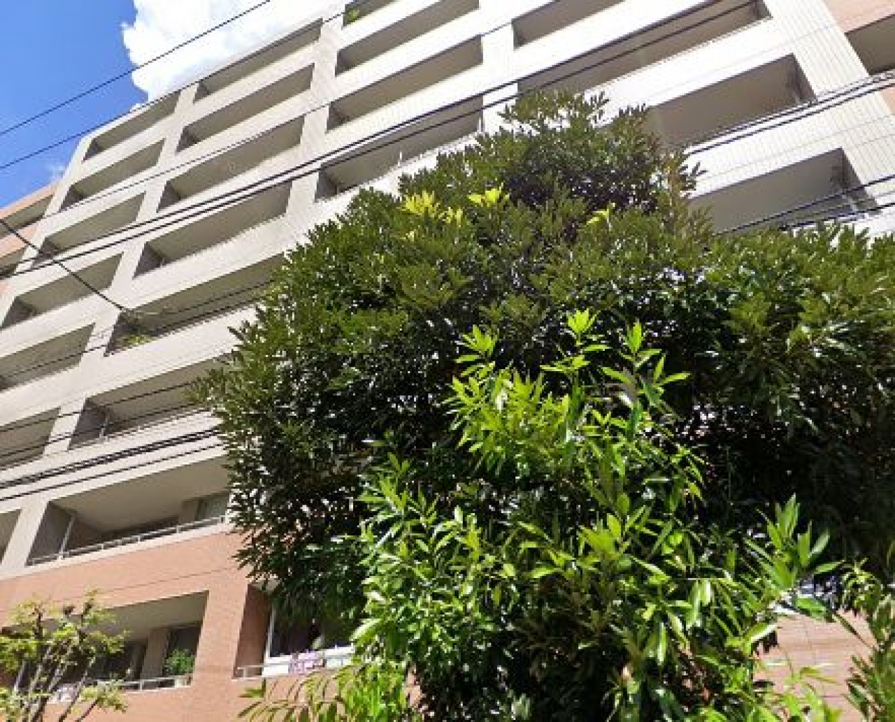 クレアシティ木場