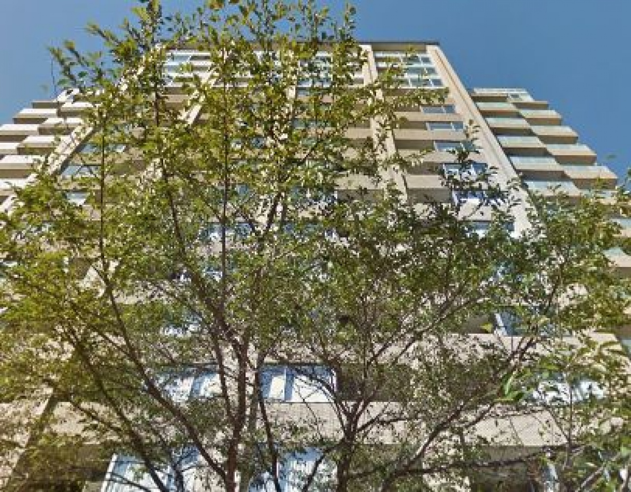 広尾ガーデンフォレスト　桜レジデンス