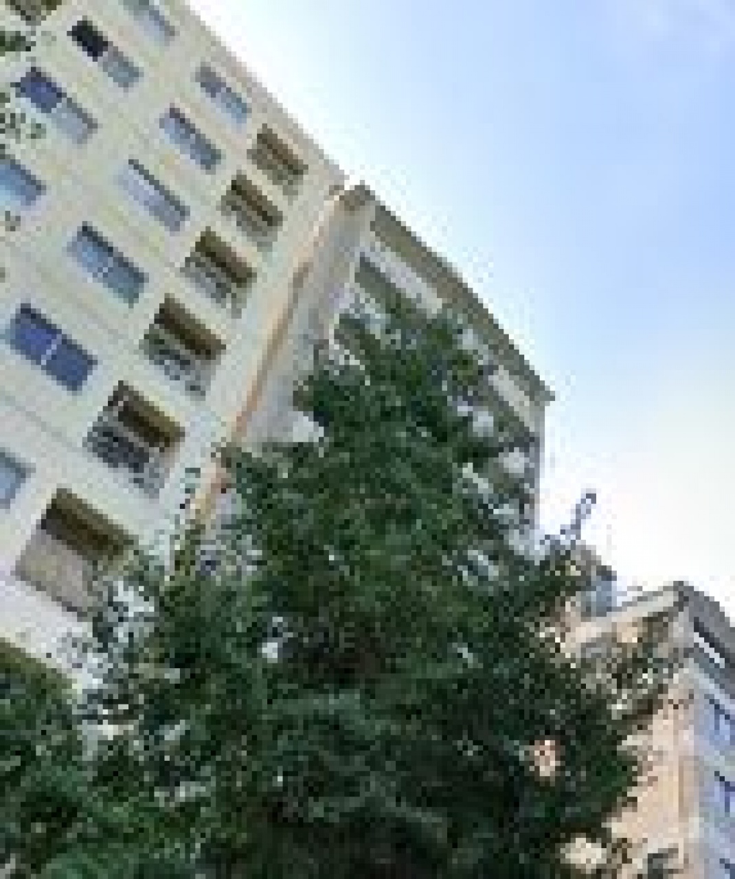 モンテベルデ第二東大前