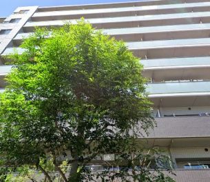 ライオンズウイングゲート