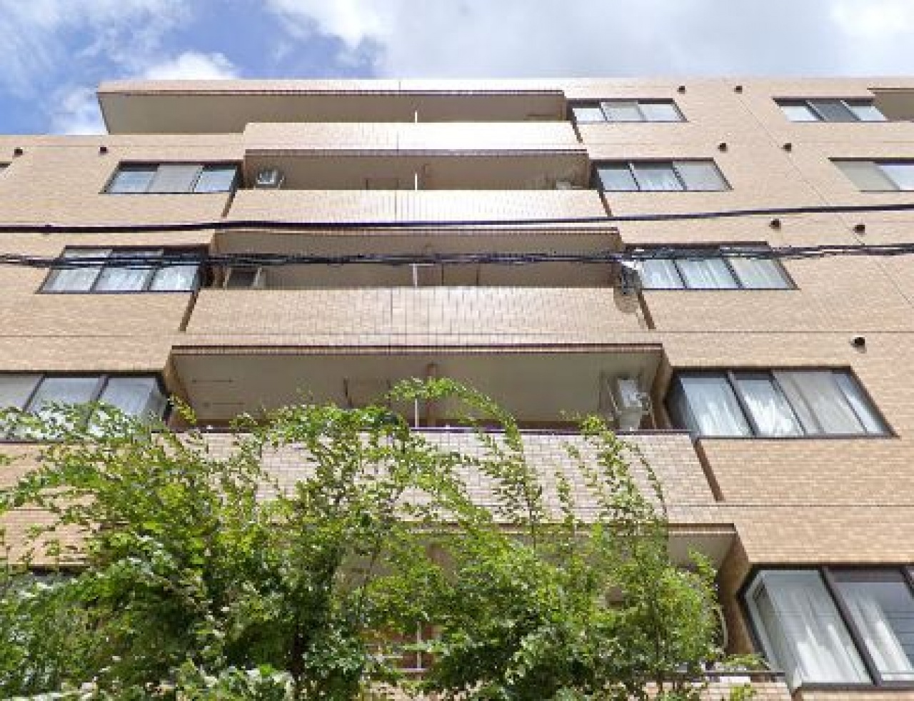 グリーンパーク堀切菖蒲園