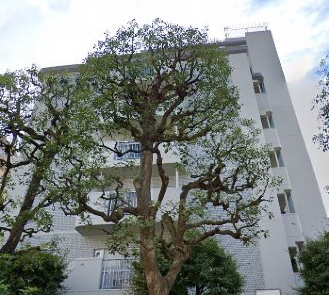 東砂三丁目ハイツ２号棟