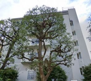 東砂三丁目ハイツ２号棟