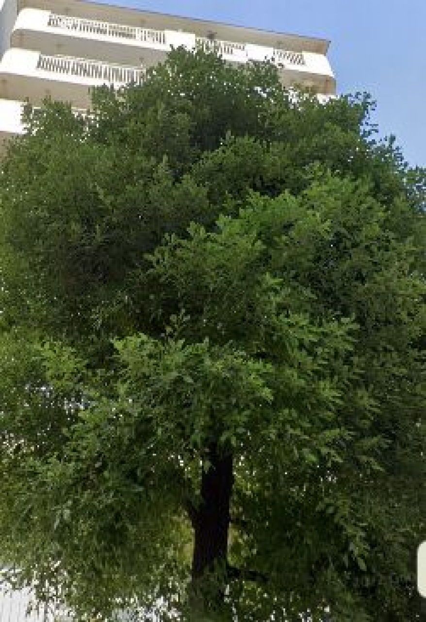 ニックハイム大森第３