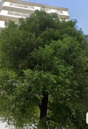 ニックハイム大森第３